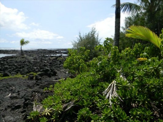30 Waiopae Road Pahoa, HI 96778 - Photo 3 of 10 Gallery Image 3