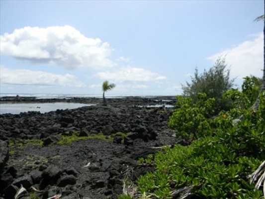 30 Waiopae Road Pahoa, HI 96778 - Photo 4 of 10 Gallery Image 4