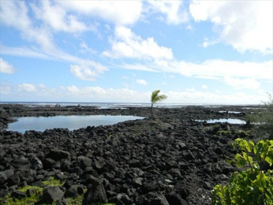 30 Waiopae Road Pahoa, HI 96778 - Photo 5 of 10 Gallery Image 5