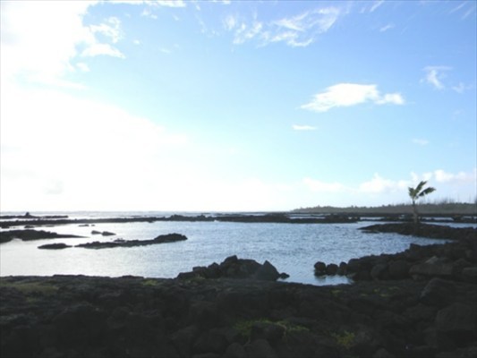 30 Waiopae Road Pahoa, HI 96778 - Photo 9 of 10 Gallery Image 9