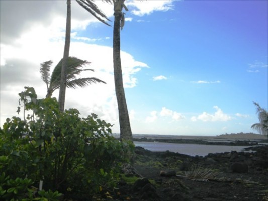 30 Waiopae Road Pahoa, HI 96778 - Photo 10 of 10 Gallery Image 10