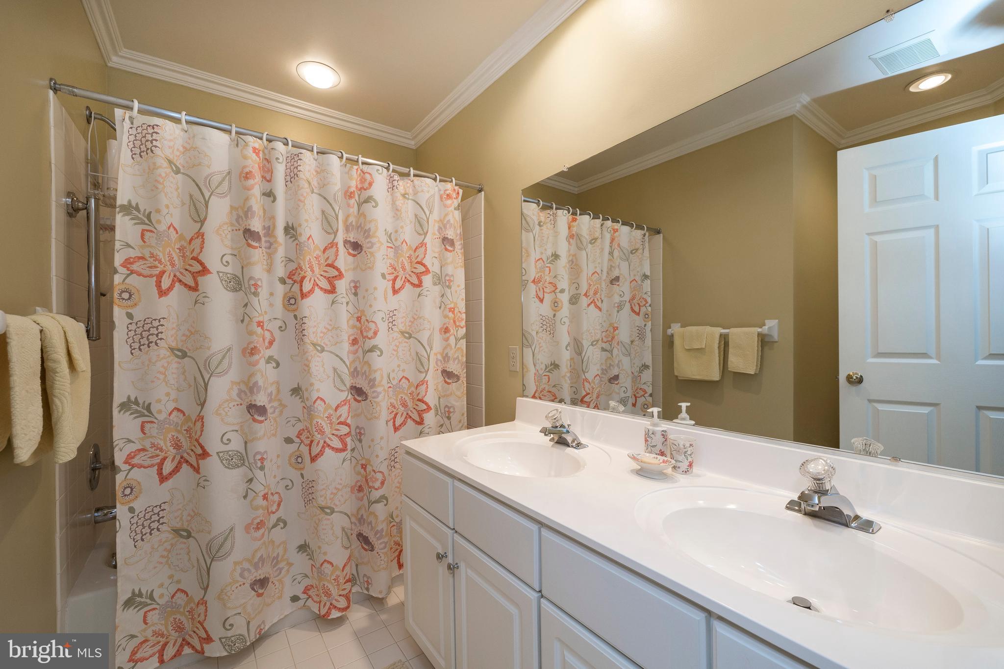 1100 Greystone Road Ambler, PA 19002 - Photo 33 of 56 Hall bathroom