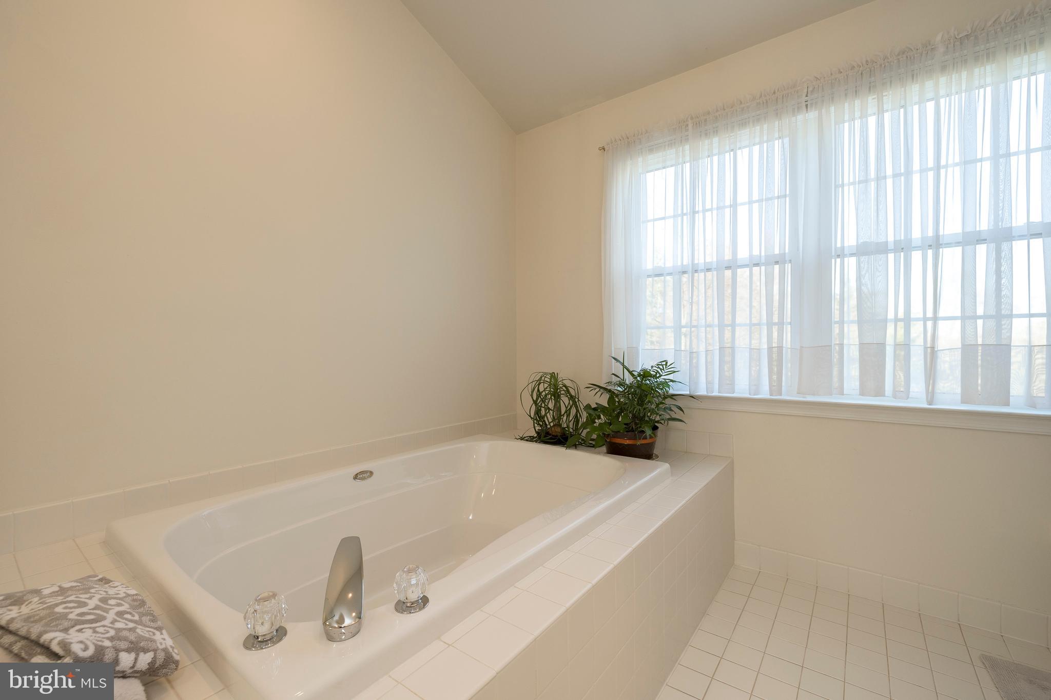 1100 Greystone Road Ambler, PA 19002 - Photo 41 of 56 Owners bathroom- garden tub