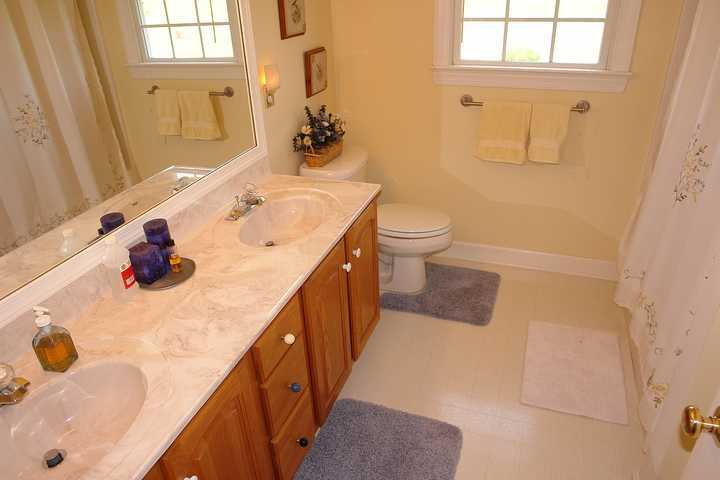 3005 Trinity Road Troutville, VA 24175 - Photo 22 of 37 Full hall bath w/dual sinks
