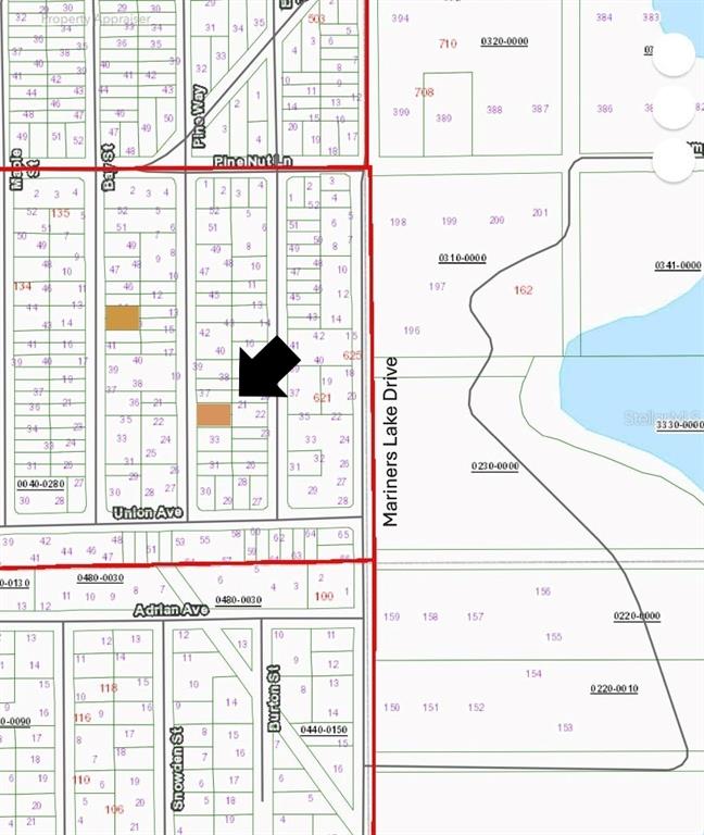 Xx Pine Way Interlachen, FL 32148 - Photo 4 of 6