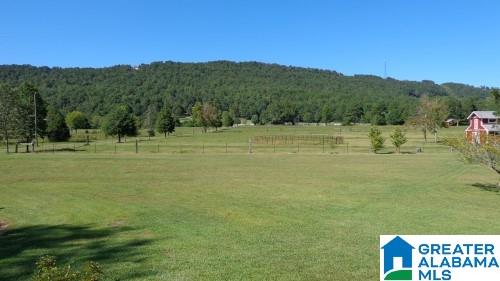 Canoe Creek Road, Unit 13 Springville, AL 35146 - Photo 1 of 18