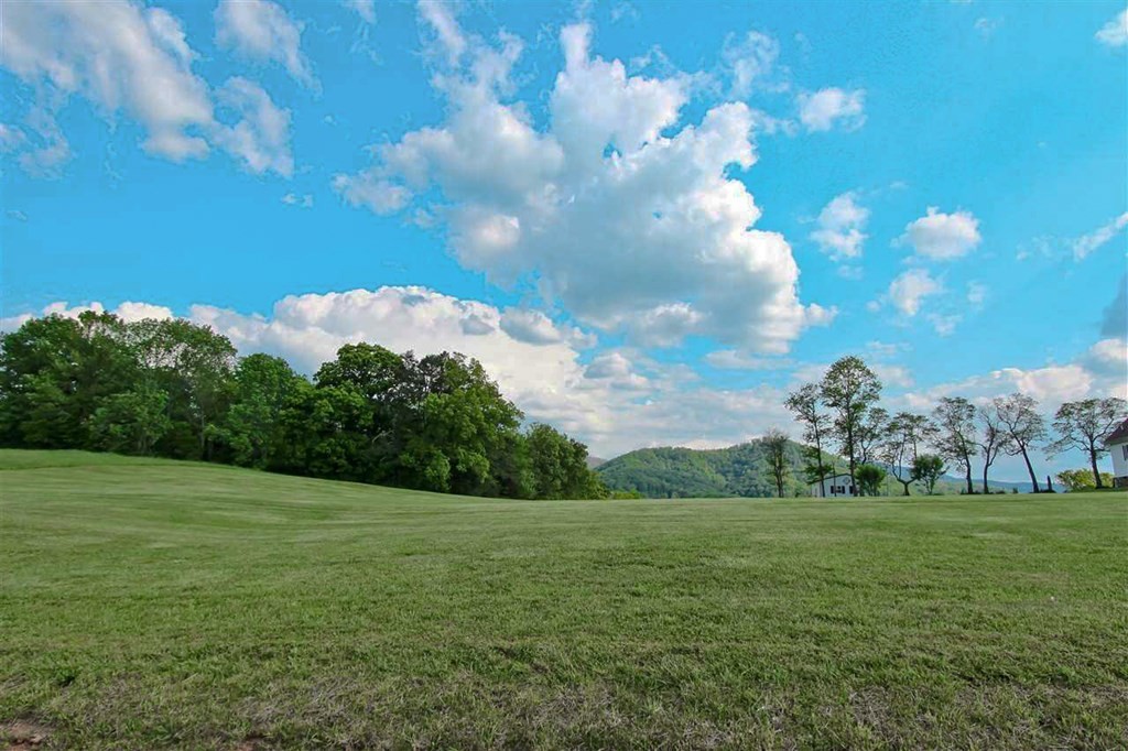 143 Tranquility Ridge Drive Newport, TN 37821 - Photo 3 of 21 Gallery Image 3