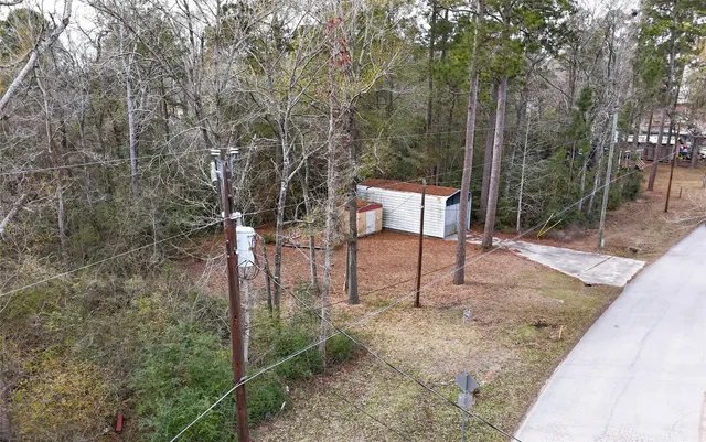 a view of a park with large trees