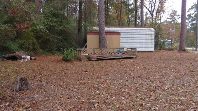 a picture of outdoor space with lots of trees
