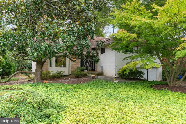 a house that has a tree in front of it