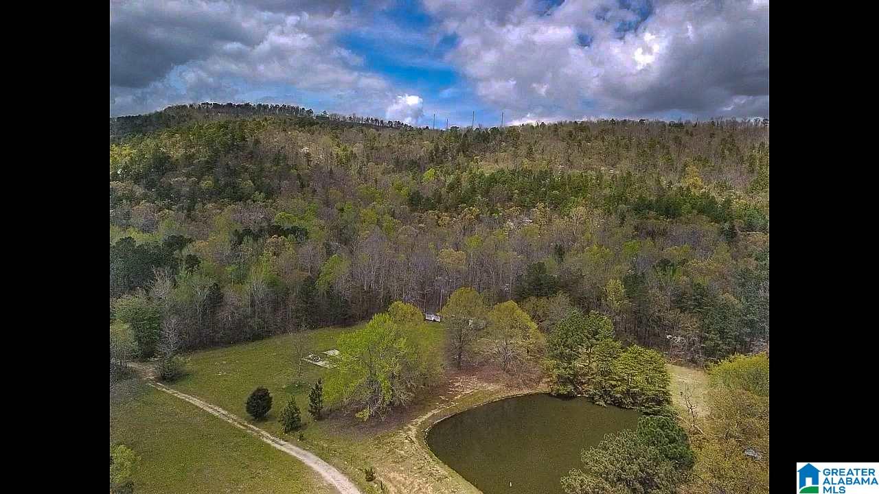 346 Hunters Lane Vandiver, AL 35176 - Photo 13 of 38