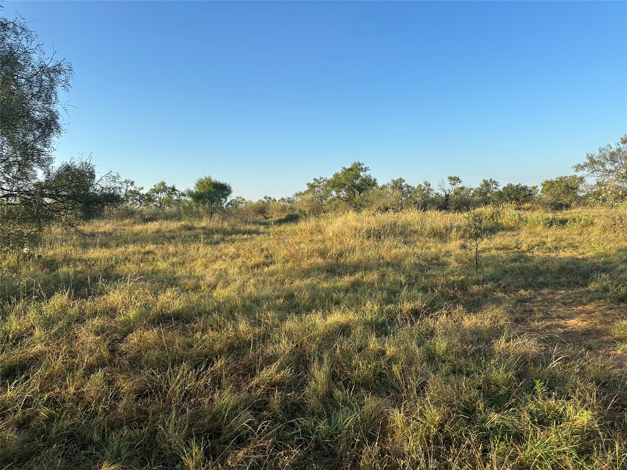 2976 Lower Willow Creek Road Mason, TX 76856 - Photo 22 of 27