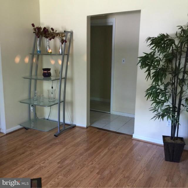 6224 Auth Road Suitland, MD 20746 - Photo 9 of 14 an empty room with wooden floor and potted plant
