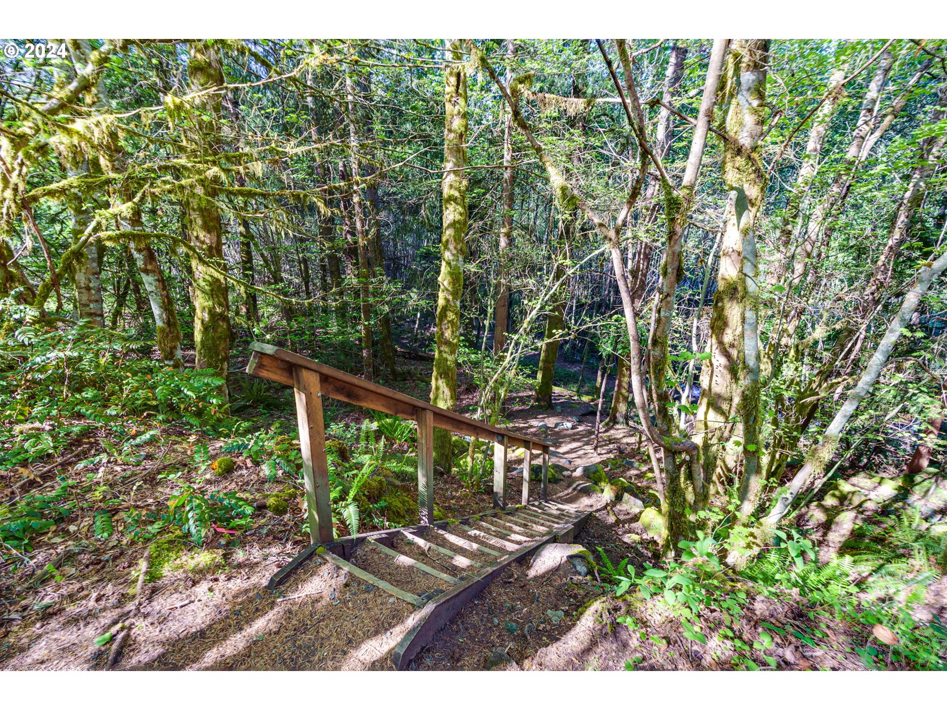 65377 East Sandy River Lane Rhododendron, OR 97049 - Photo 39 of 40 a view of an outdoor space with a tree