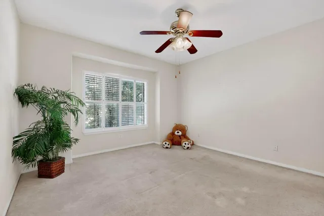 a view of a livingroom with a potted plant