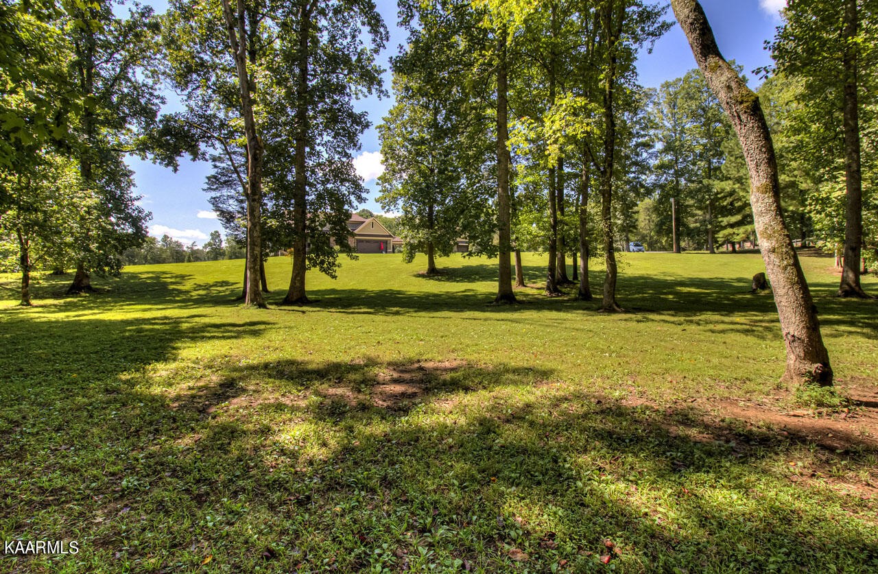 215 Estes Road Loudon, TN 37774 - Photo 51 of 59 a view of a trees with a yard
