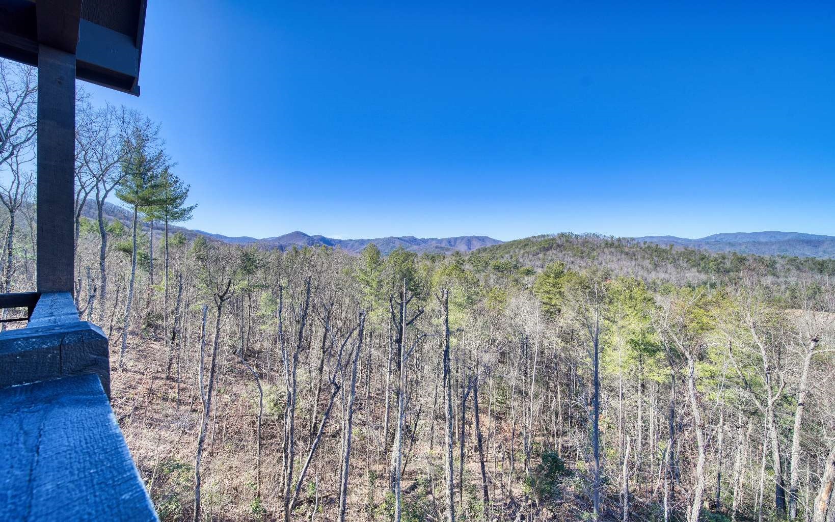 263 Oasis Drive Blue Ridge, GA 30513 - Photo 22 of 59 Additional View