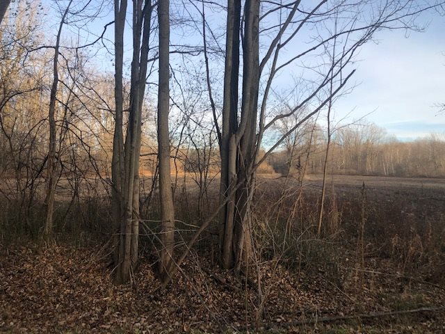 Busch Road Birch Run, MI 48415 - Photo 5 of 5
