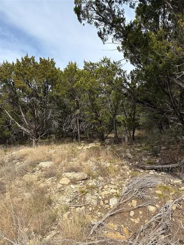 a view of a yard with trees in front of it