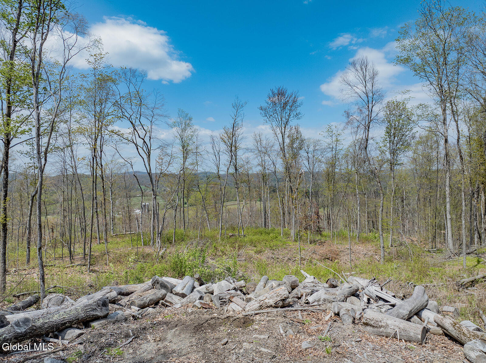 97 Sky Parlor Way Salem, NY 12865 - Photo 23 of 59 DJI_0097-Edit