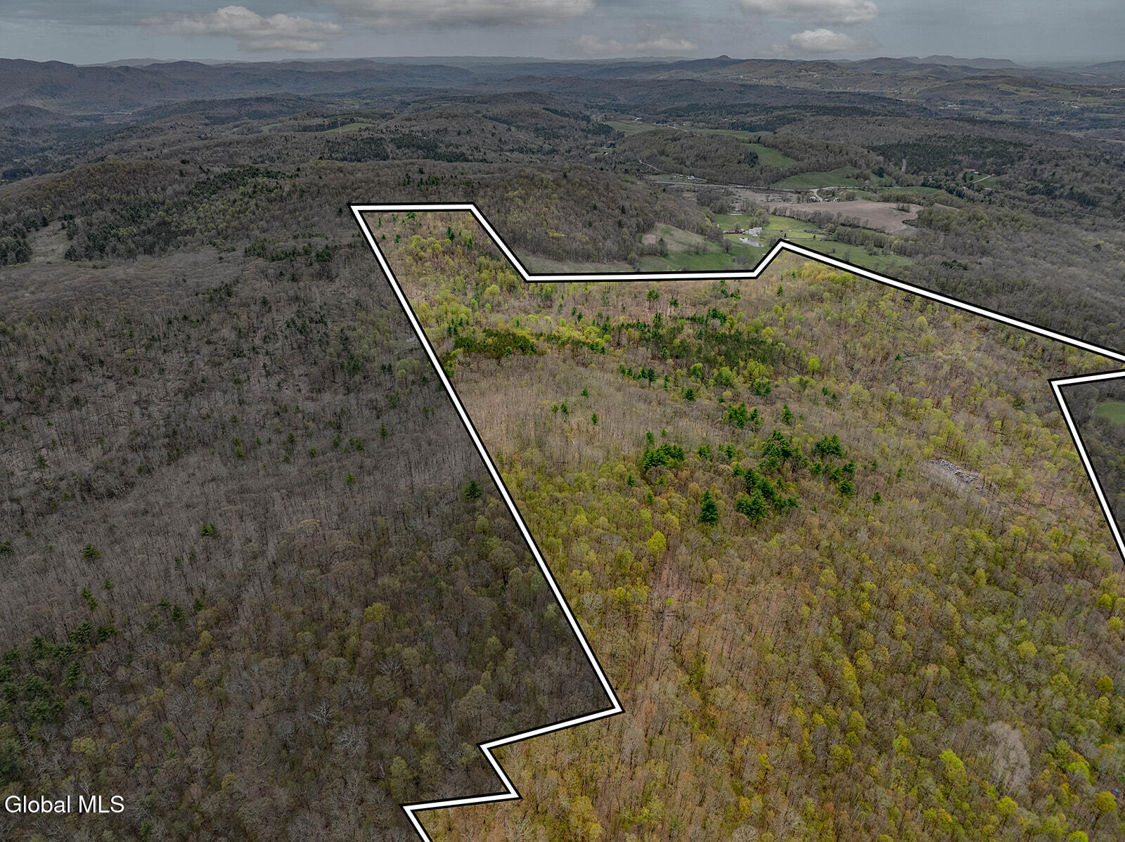 97 Sky Parlor Way Salem, NY 12865 - Photo 25 of 59 DJI_0020-Edit-Edit