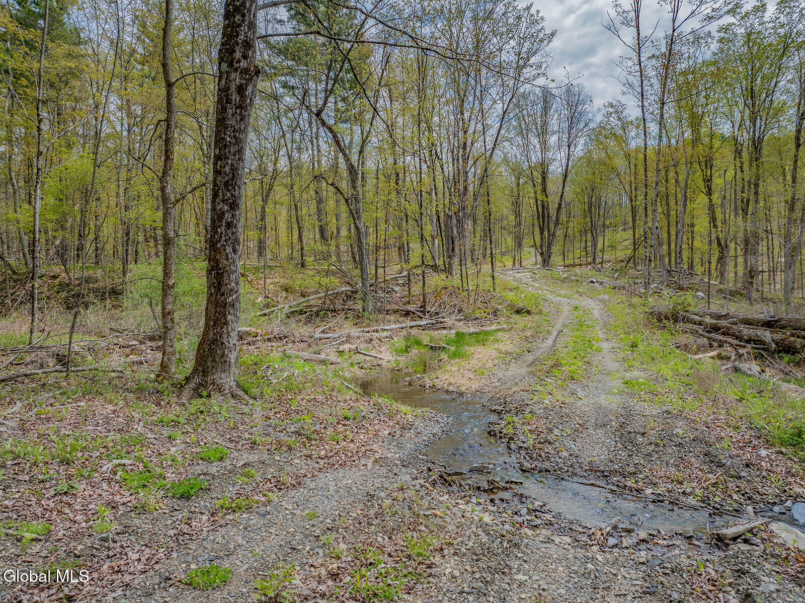 97 Sky Parlor Way Salem, NY 12865 - Photo 31 of 59 DJI_0049-Edit