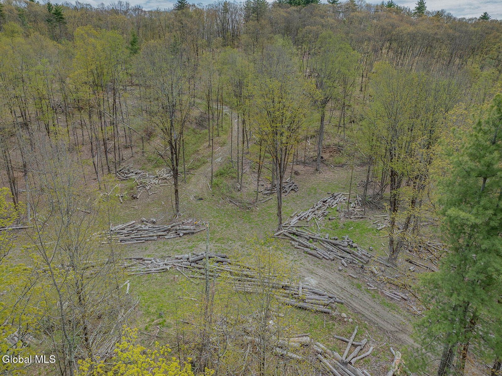97 Sky Parlor Way Salem, NY 12865 - Photo 5 of 59 DJI_0058-Edit