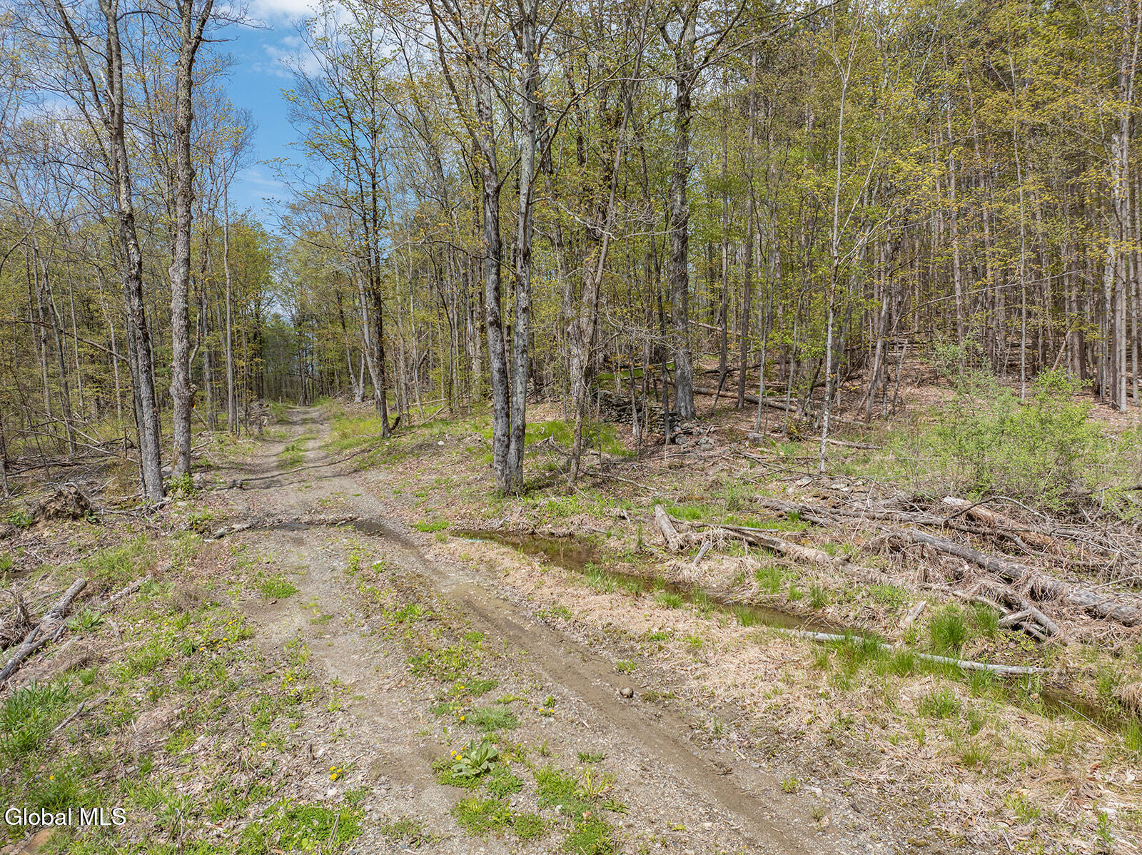 97 Sky Parlor Way Salem, NY 12865 - Photo 54 of 59 DJI_0046-Edit