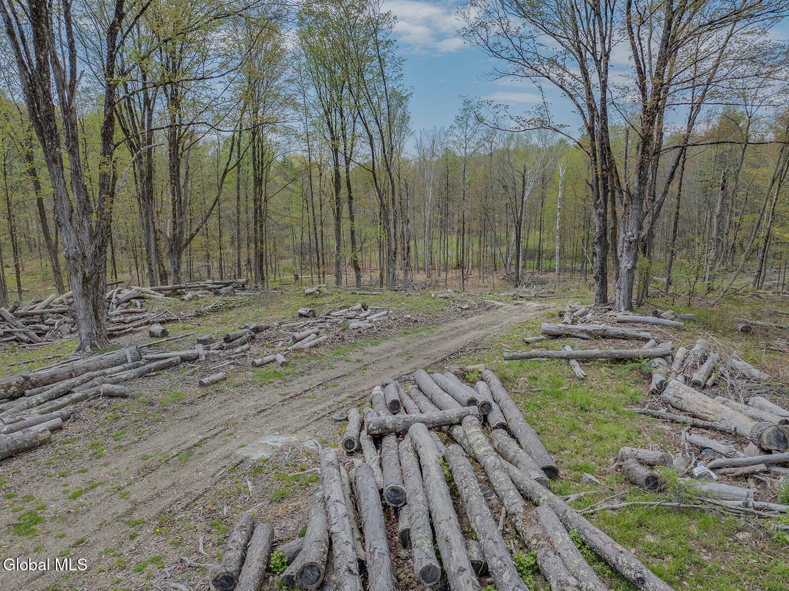 97 Sky Parlor Way Salem, NY 12865 - Photo 55 of 59 DJI_0052-Edit-2