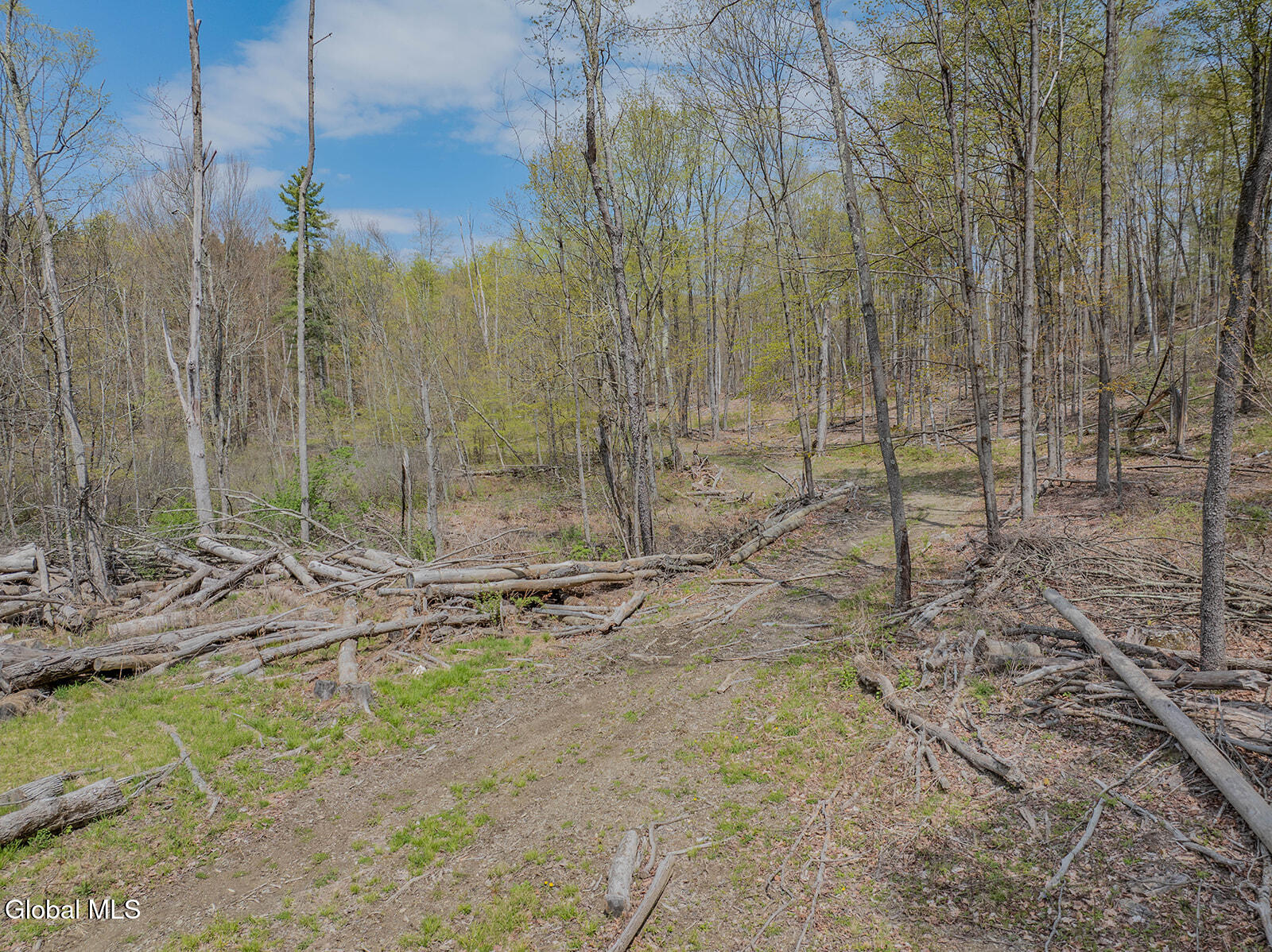 97 Sky Parlor Way Salem, NY 12865 - Photo 58 of 59 DJI_0091-Edit
