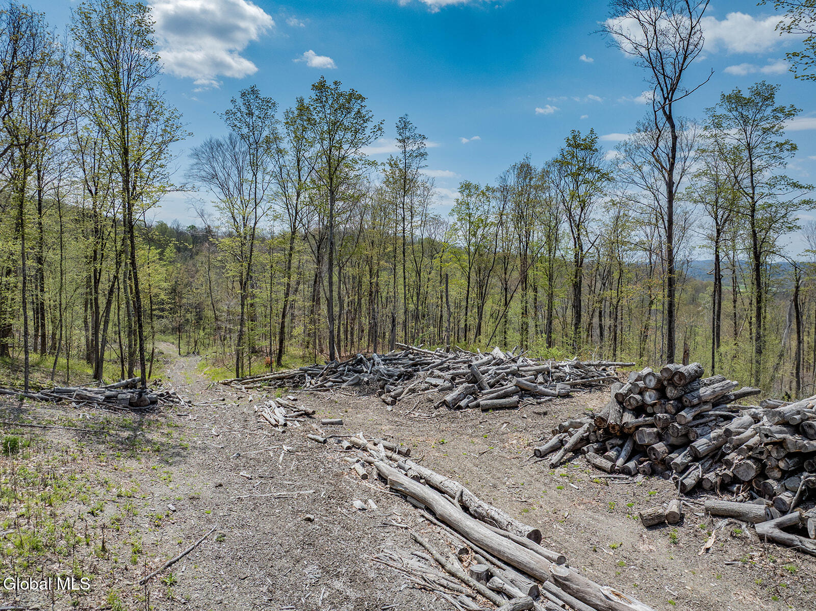 97 Sky Parlor Way Salem, NY 12865 - Photo 59 of 59 DJI_0106-Edit