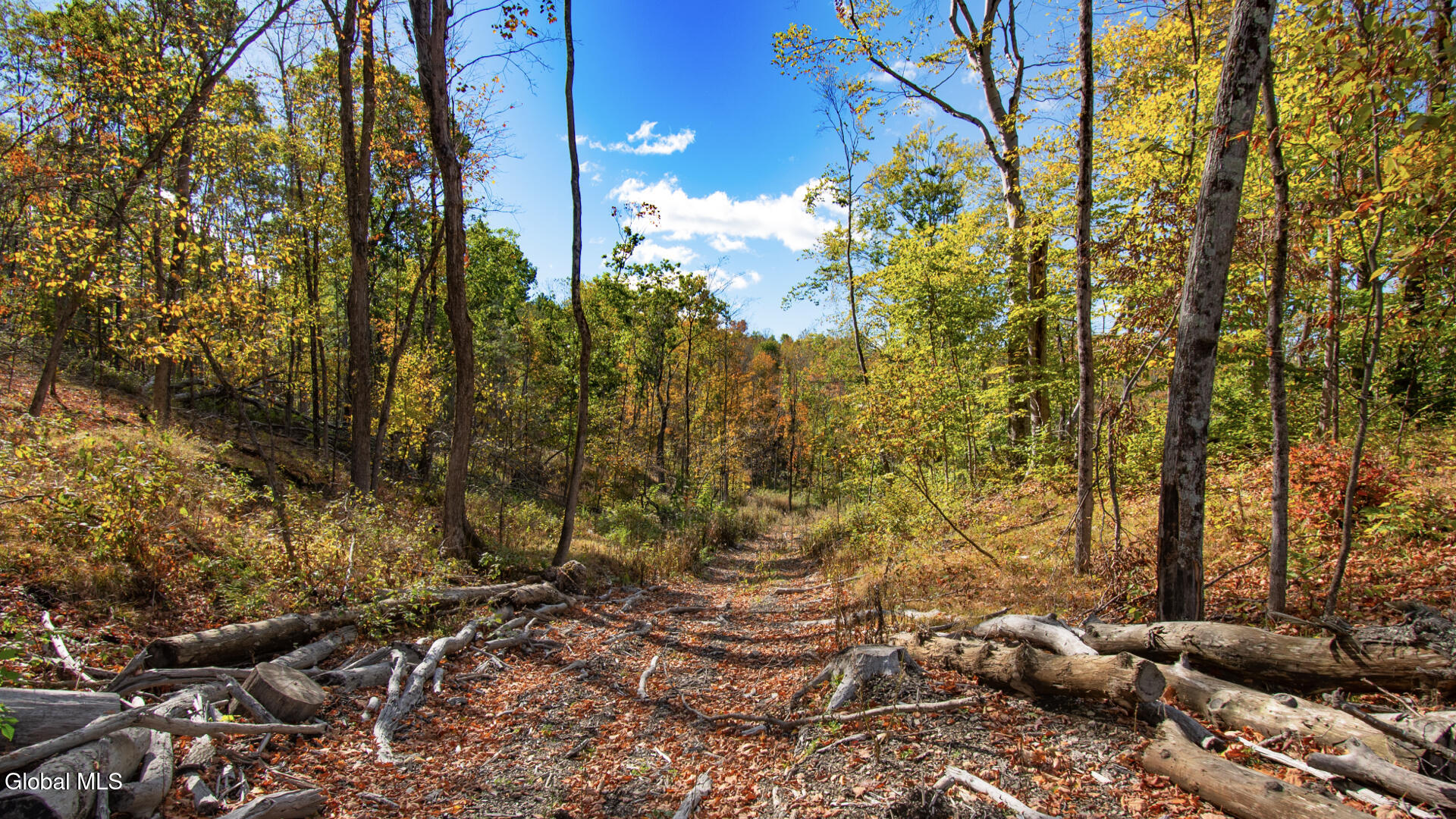 97 Sky Parlor Way Salem, NY 12865 - Photo 8 of 28 NY_Washington_00001_040