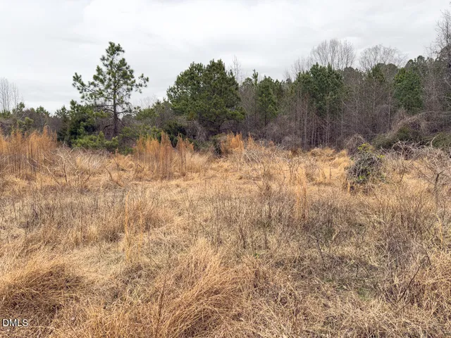 $144,900 | 0 Mt Pleasant Church Road, Manson, NC 27553