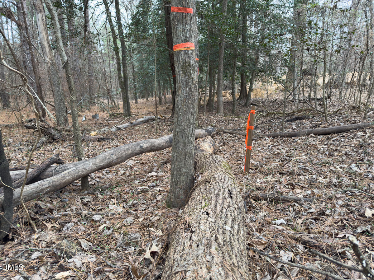 0 Mt Pleasant Church Road Manson, NC 27553 - Photo 13 of 43 13