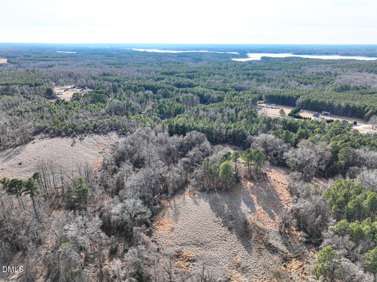 0 Mt Pleasant Church Road Manson, NC 27553 - Photo 14 of 44 an aerial view of forest