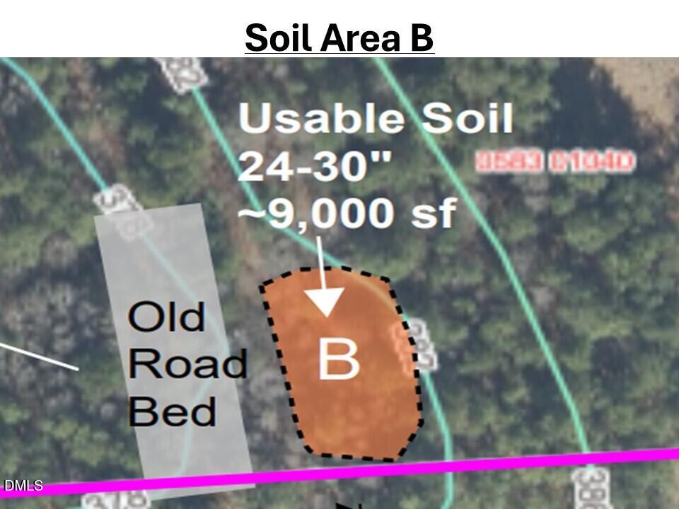 0 Mt Pleasant Church Road Manson, NC 27553 - Photo 17 of 43 17