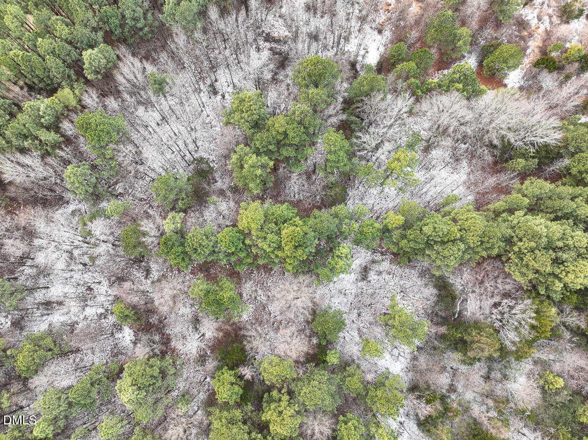 0 Mt Pleasant Church Road Manson, NC 27553 - Photo 18 of 43 18