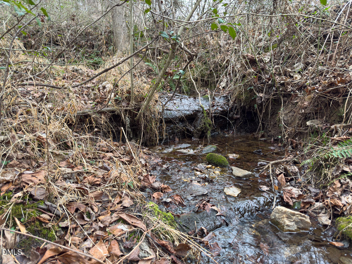0 Mt Pleasant Church Road Manson, NC 27553 - Photo 2 of 43 2