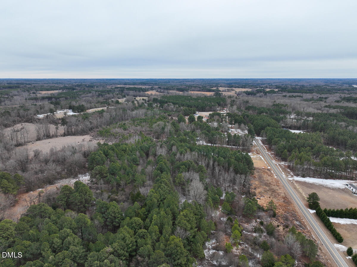 0 Mt Pleasant Church Road Manson, NC 27553 - Photo 21 of 43 21