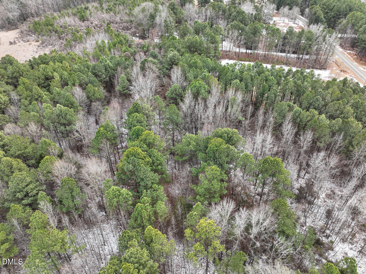 0 Mt Pleasant Church Road Manson, NC 27553 - Photo 23 of 43 23