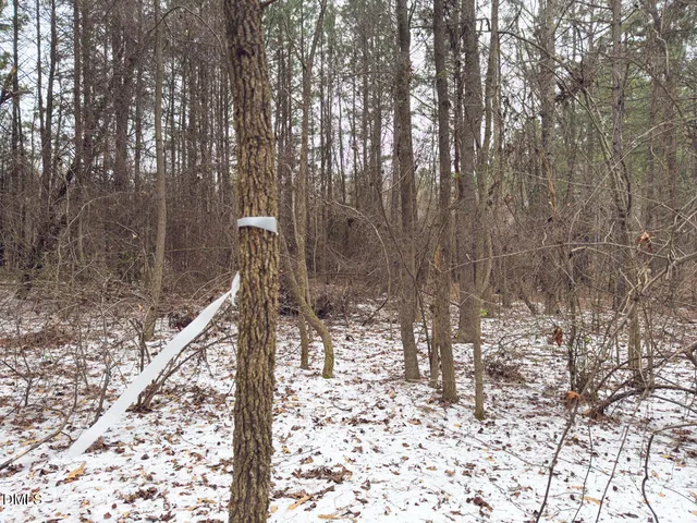 $144,900 | 0 Mt Pleasant Church Road, Manson, NC 27553