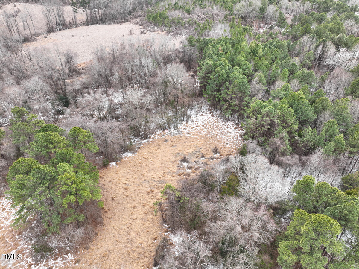 0 Mt Pleasant Church Road Manson, NC 27553 - Photo 25 of 43 25
