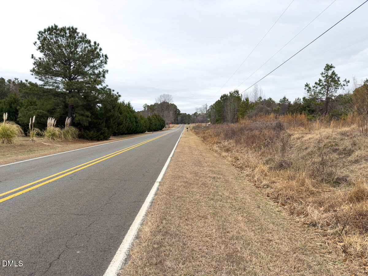 0 Mt Pleasant Church Road Manson, NC 27553 - Photo 29 of 43 29