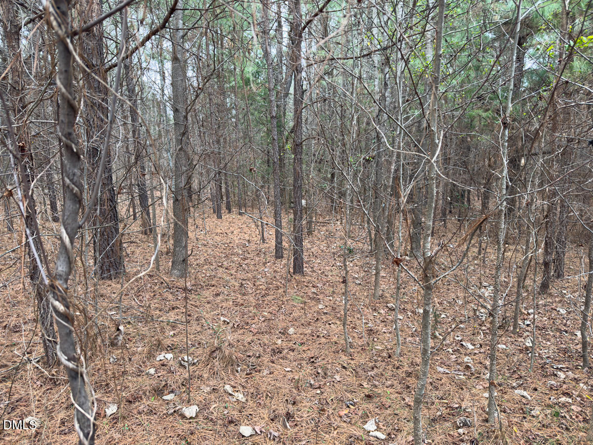 0 Mt Pleasant Church Road Manson, NC 27553 - Photo 31 of 44