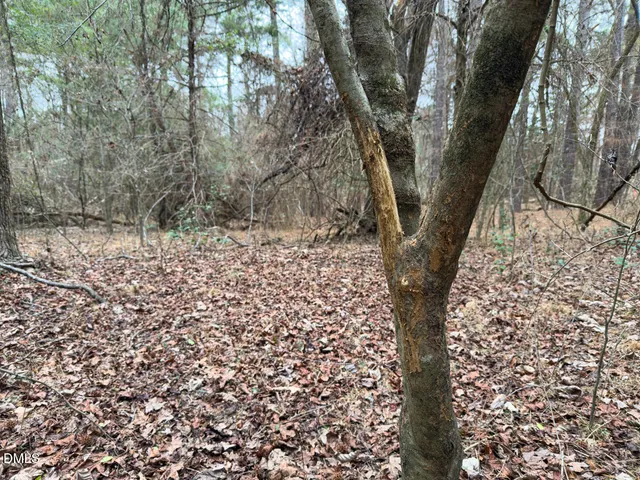 $144,900 | 0 Mt Pleasant Church Road, Manson, NC 27553