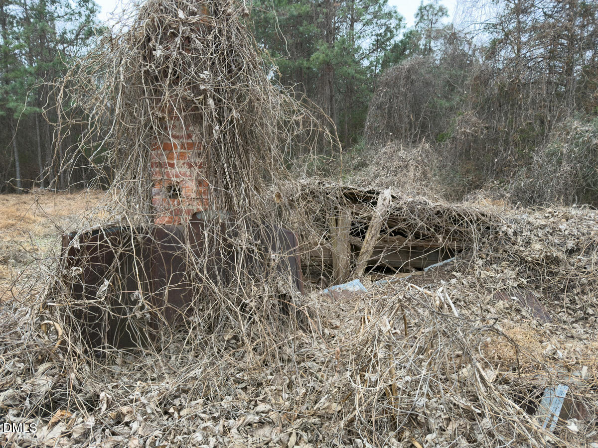 0 Mt Pleasant Church Road Manson, NC 27553 - Photo 38 of 44 a view of a yard with large trees
