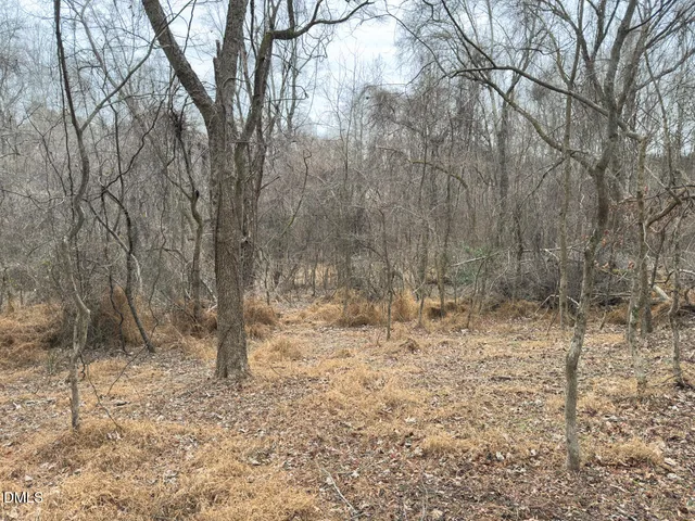 $144,900 | 0 Mt Pleasant Church Road, Manson, NC 27553