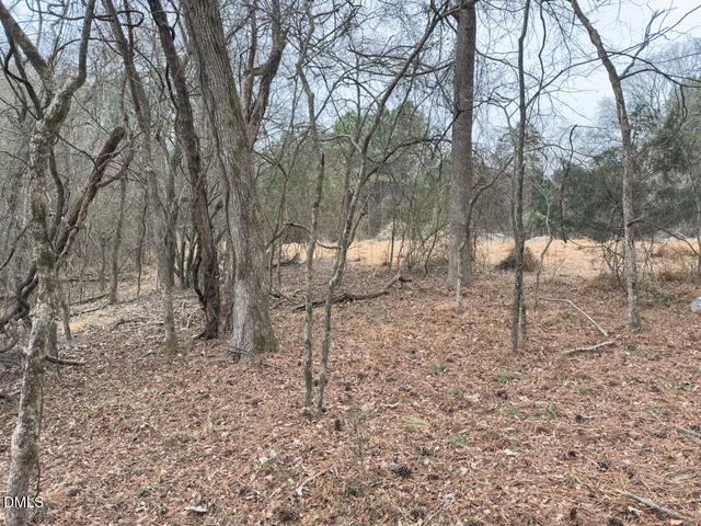 $144,900 | 0 Mt Pleasant Church Road, Manson, NC 27553