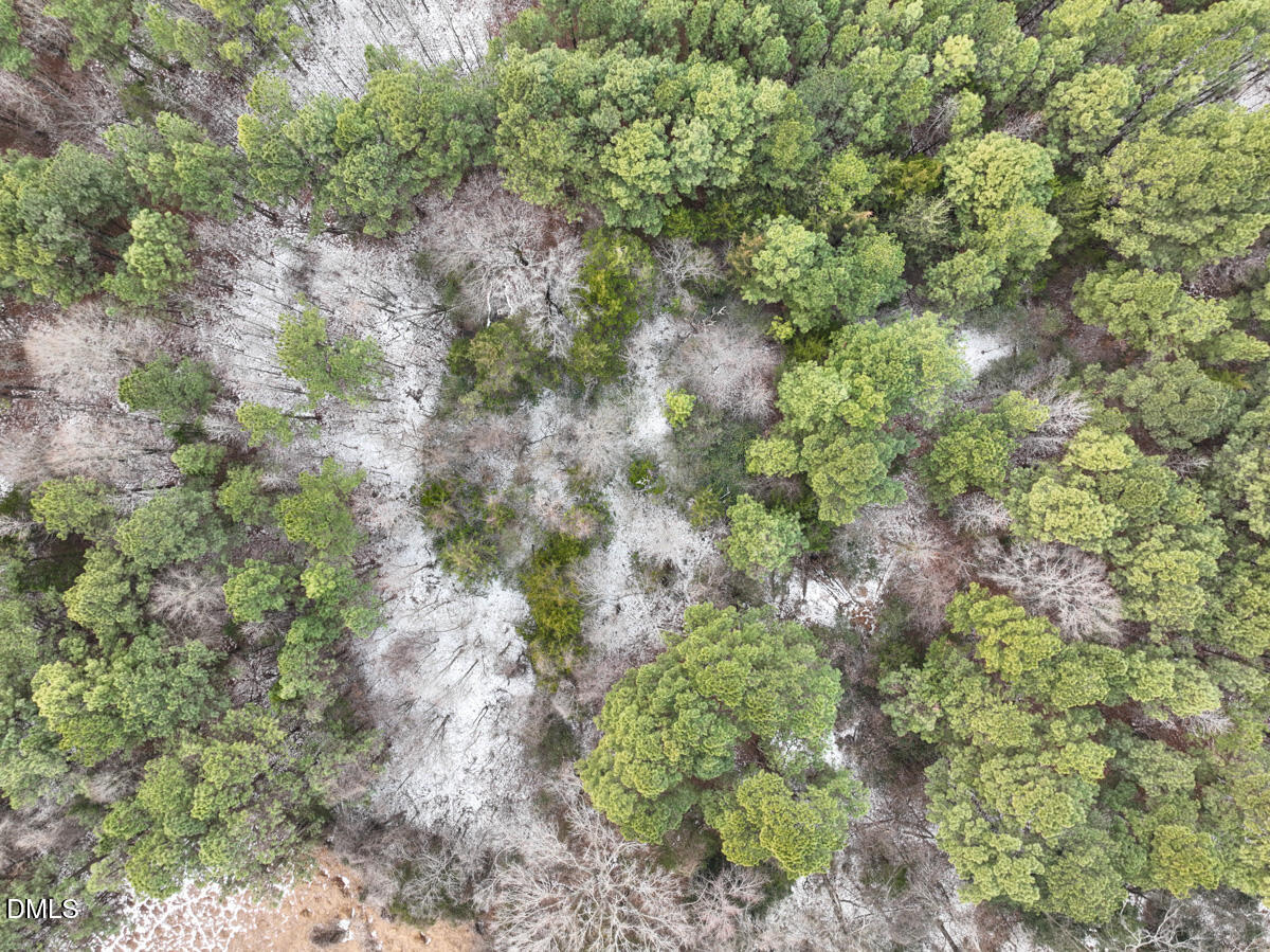 0 Mt Pleasant Church Road Manson, NC 27553 - Photo 4 of 43 4