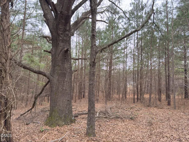 $144,900 | 0 Mt Pleasant Church Road, Manson, NC 27553